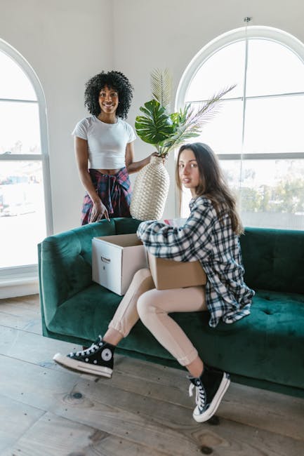 Two women involved in a home relocation process inside a well-lit living room with large arched windows. One woman with curly black hair, dressed in a white t-shirt and colorful plaid pants, stands beside a green velvet sofa, holding a decorative vase with tall green leaves and purple flowers. The other woman, with straight brown hair, is seated on the sofa, wearing a black and white plaid shirt and beige pants, holding a cardboard box, with her legs crossed and wearing black and white sneakers. Nearby, on the sofa, there is an open cardboard box, and the flooring is light wood. Equipment such as the sofa and boxes suggests packing and moving activities, representing furniture transport and the logistics involved in a house removal. The scene reflects an organized relocation setup, with natural lighting streaming through the large window, subtly aligned with professional removal services by Man with Van Stroud Green.
