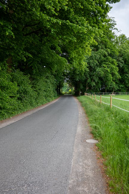 A winding rural road with smooth asphalt surface and white dashed centre lines extends through a landscape of gently rolling green hills. The sides of the road are bordered by grassy verges and low-ly