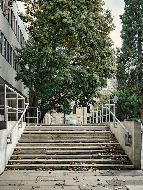 A wide set of outdoor stone steps leading up to a residential or commercial building entrance, with metal handrails on both sides. The steps are partially covered with fallen leaves, indicating an autumn season. Behind the stairs, a large leafy tree partially obscures a multi-storey building with modern glass windows on the left and traditional brick facades further in the background. To the right, a lamppost and some greenery are visible. The scene is well-lit with natural daylight, and the environment appears quiet and urban, suitable for house removals or furniture transport planning, as provided by Man with Van Stroud Green, to facilitate home relocation services.